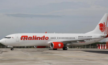 Malindo Air tawar VSS lepas gagal dapat pinjaman