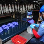 Top Glove among companies to face charges for flouting Act 446