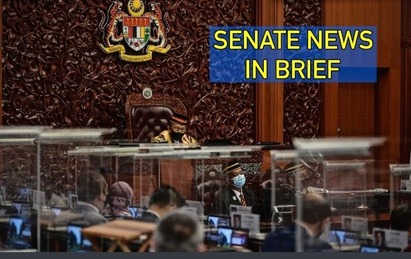 Dewan Negara news in brief: Aug 9