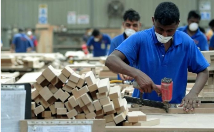 Probe forced labour claim in timber industry, govt urged