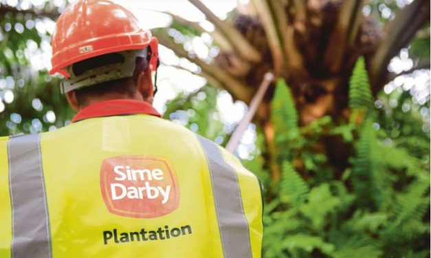 US says Sime Darby Plantation products no longer produced with forced labour